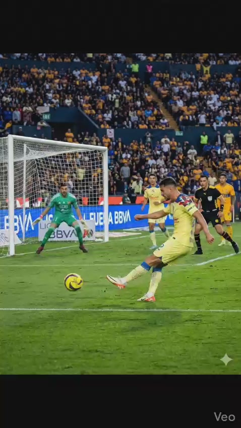 Balón de Fútbol Profesional Voit | Tamaño No. 5 | Nuevo y Original
